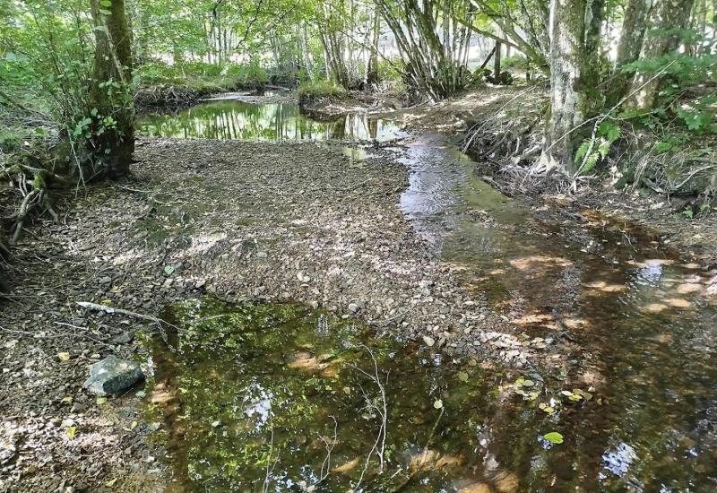 Dreigend verlies biodiversiteit Morvan