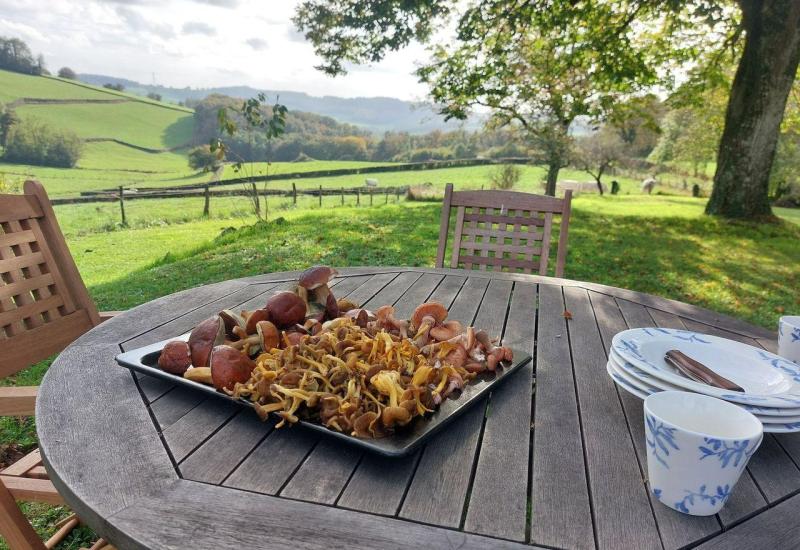 Paddenstoelen zoeken en eten in de Morvan