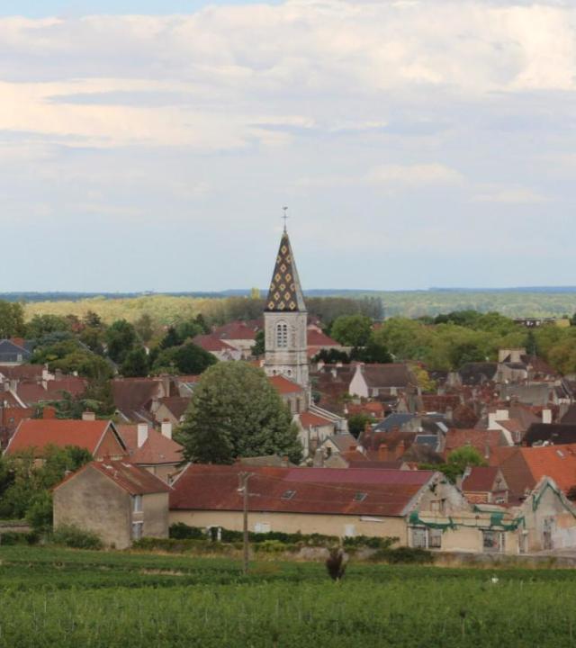 Nuits-Saint-Georges