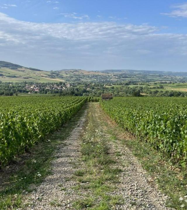Autun – Santenay
