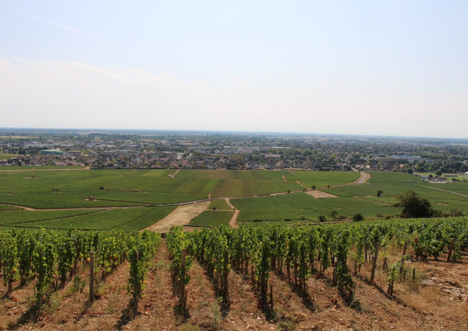 Beaune