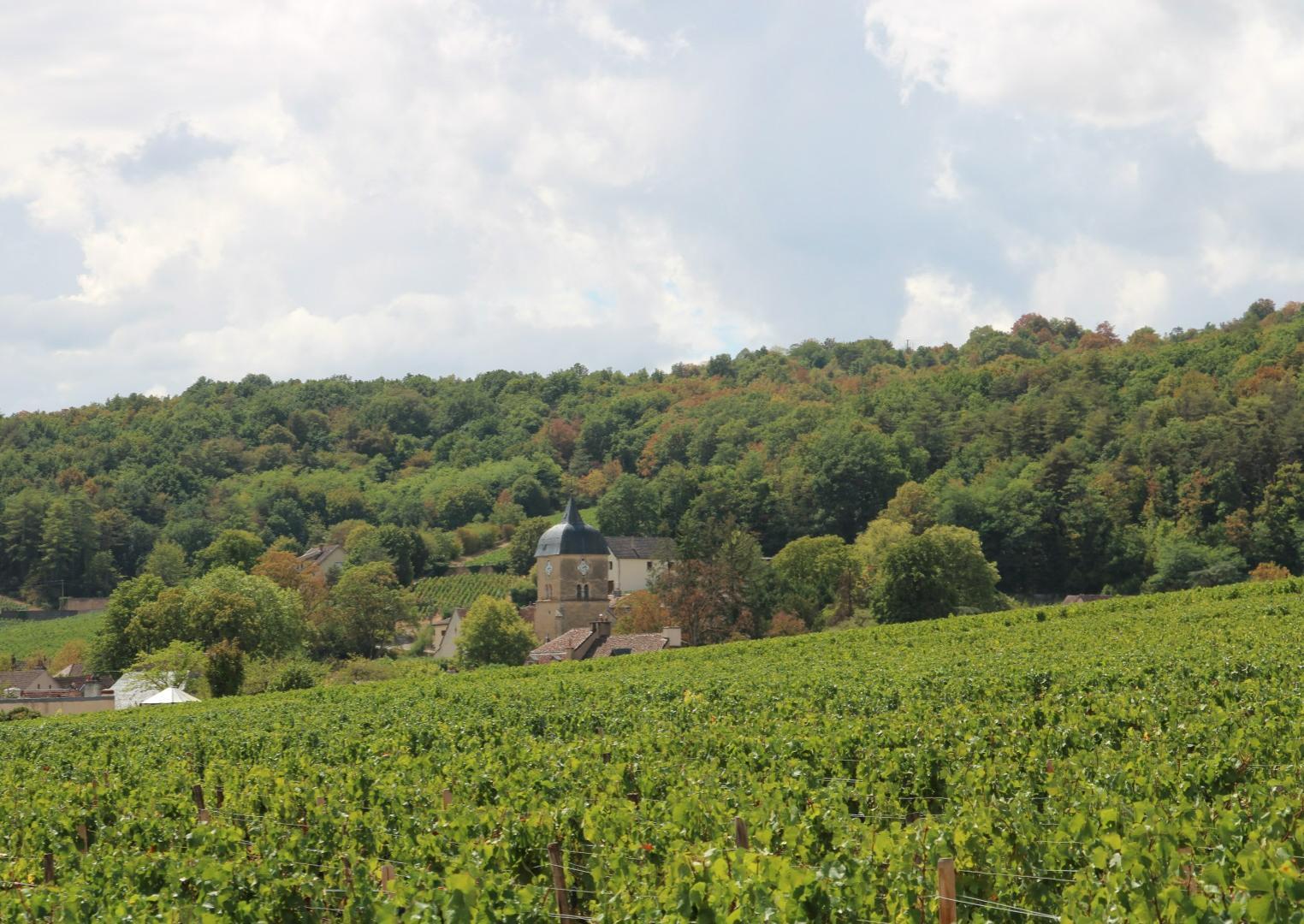 Vougeot en omgeving