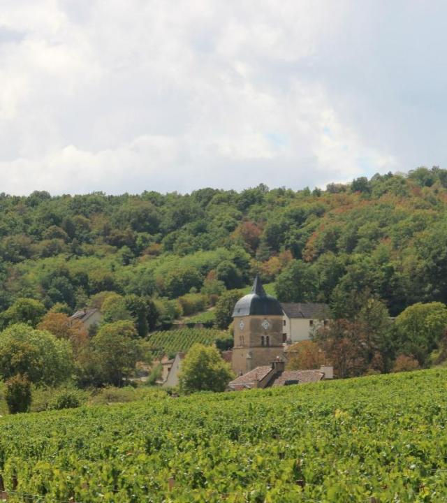 Vougeot en omgeving