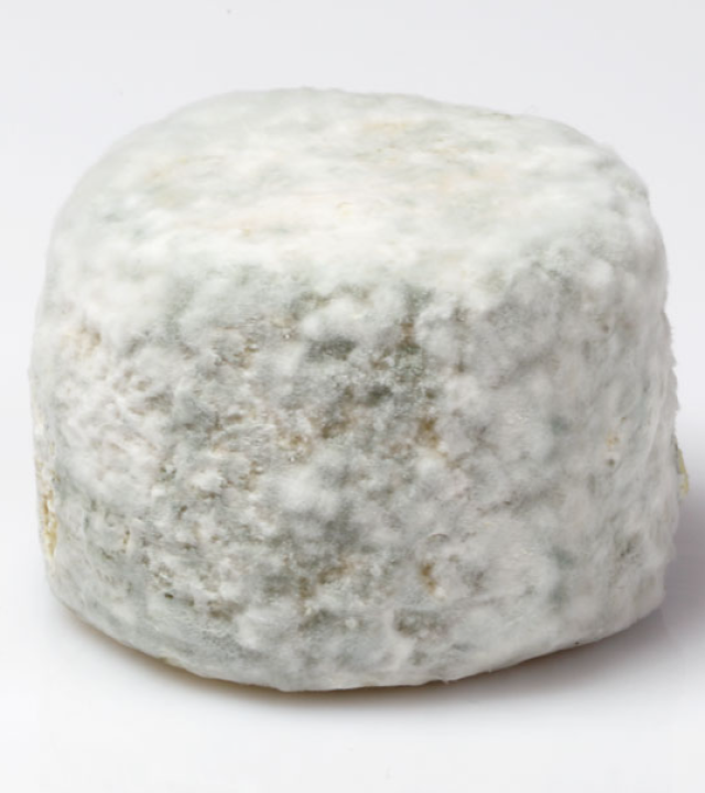 Crottin Chavignol
