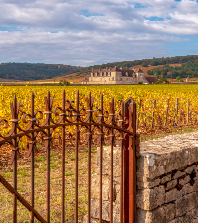 Wijnroute Côte de Nuits