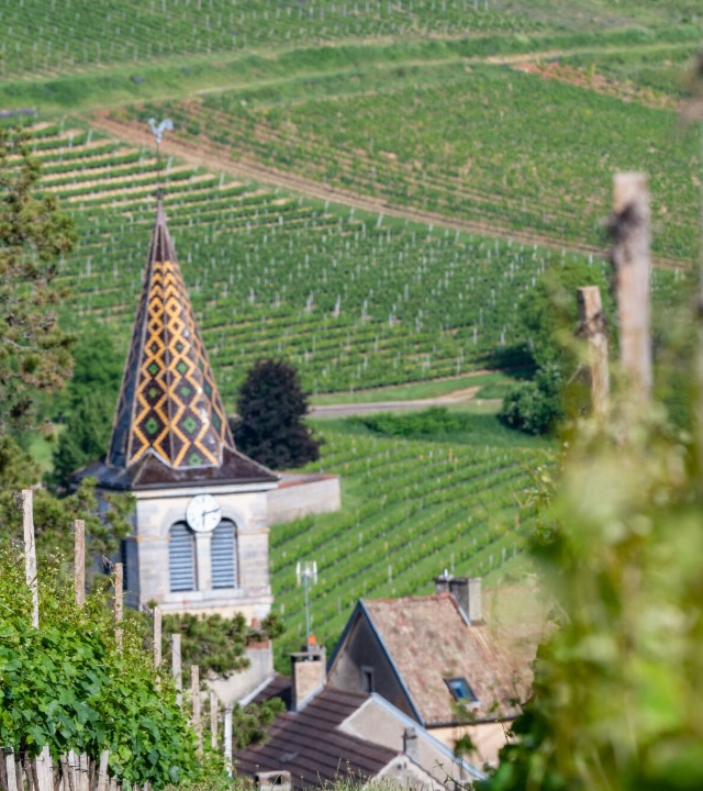 Côte de Nuits