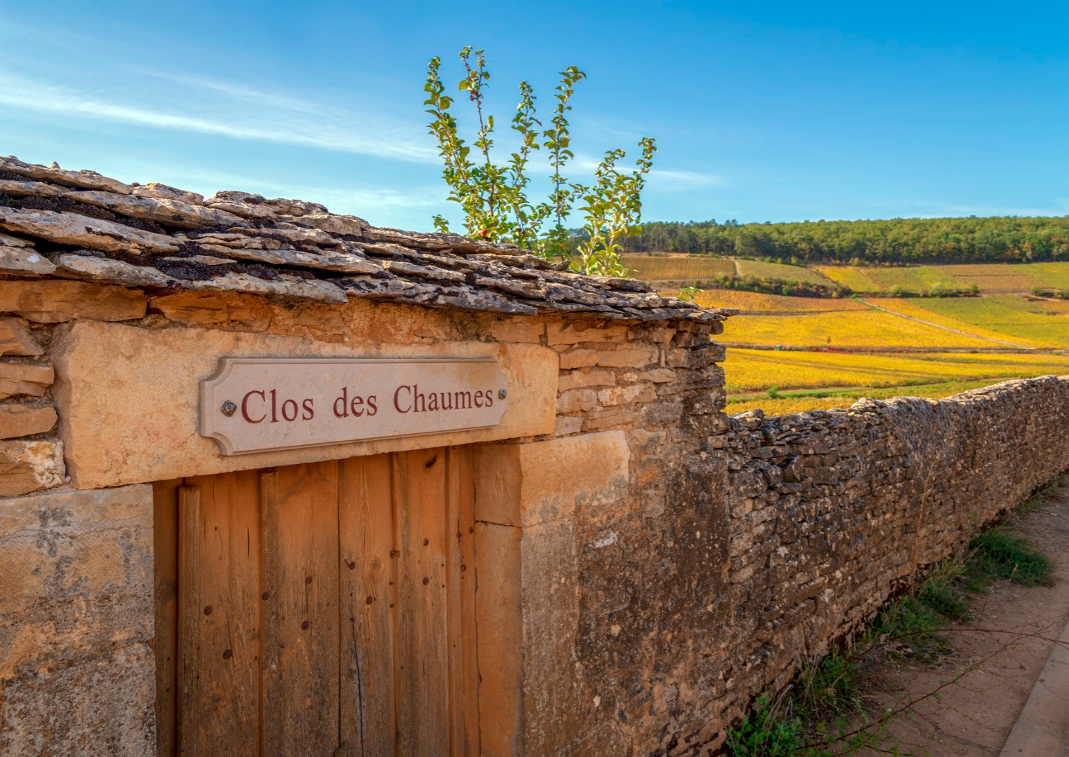 Climats