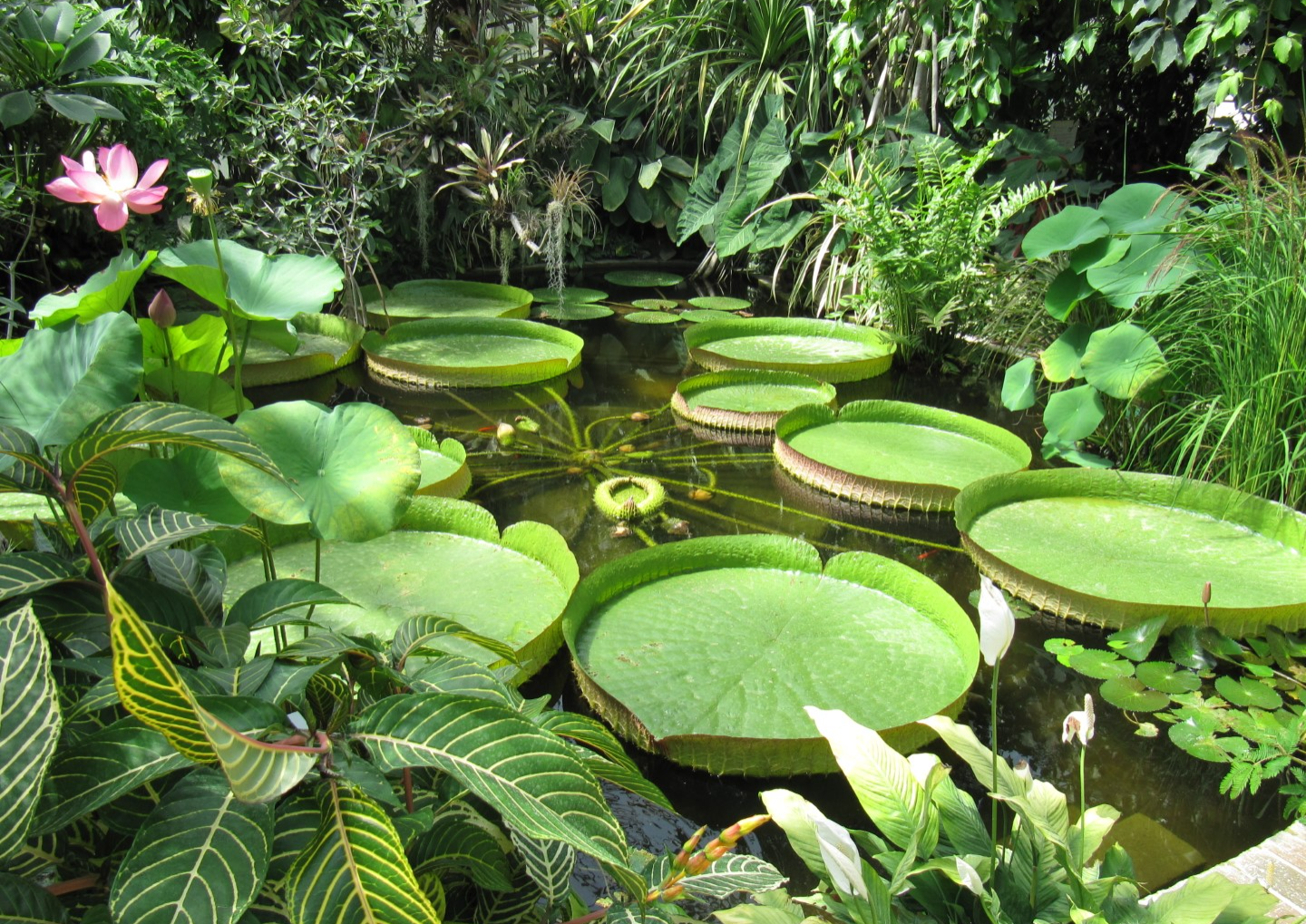 Park Moulin à Tan
