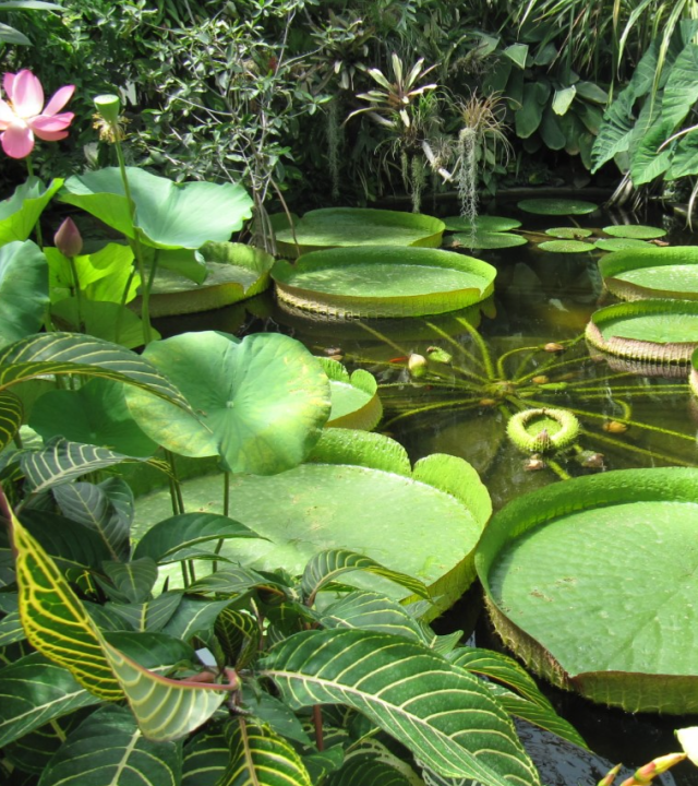 Park Moulin à Tan
