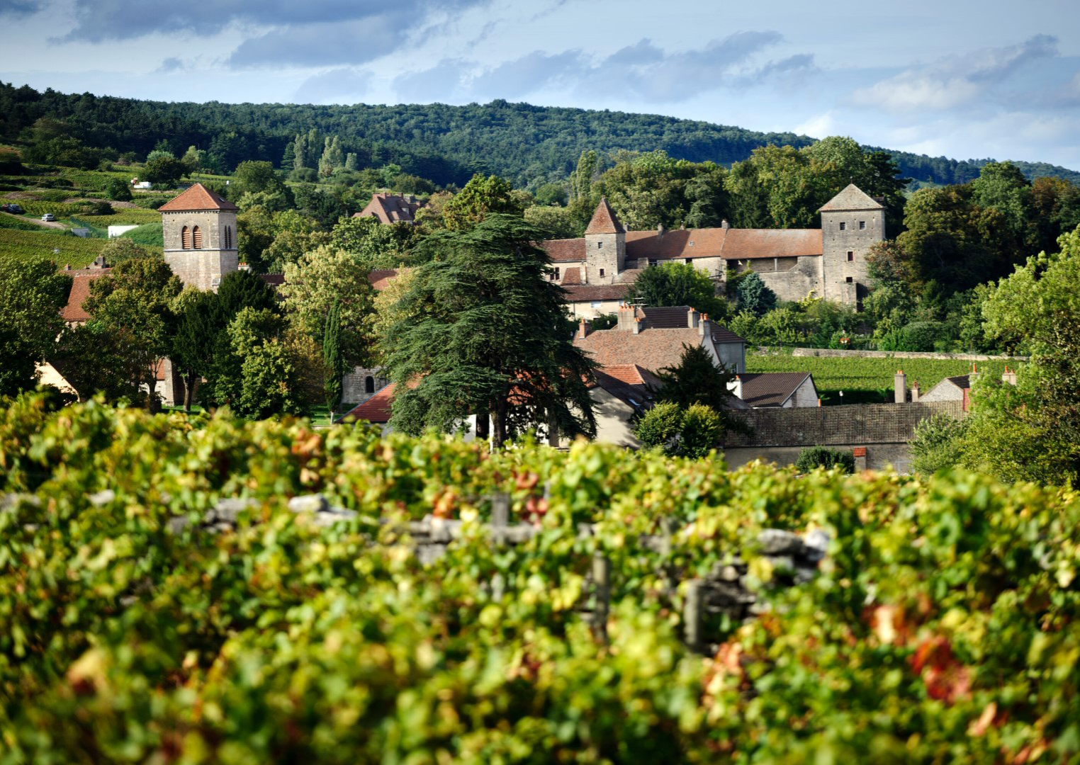 Gevrey-Chambertin