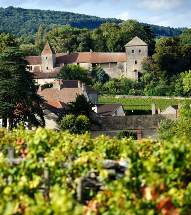 Gevrey-Chambertin