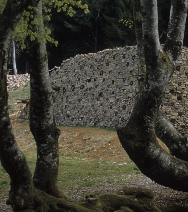 Opgravingen versterkingen Bibracte