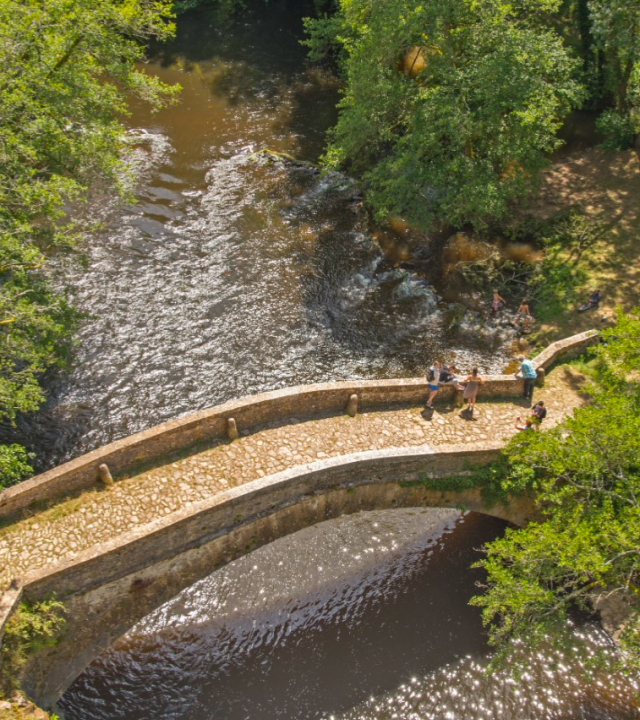 Bruggen van Pierre-Perthuis