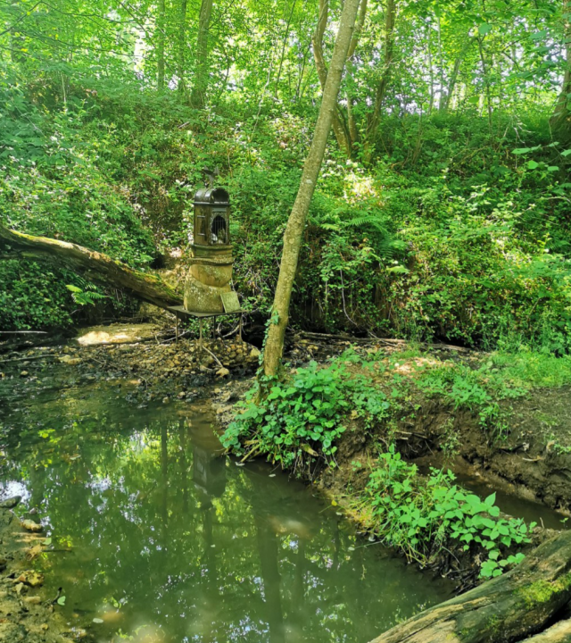 Saint-Amand-en-Puisaye: Pad van Carriès