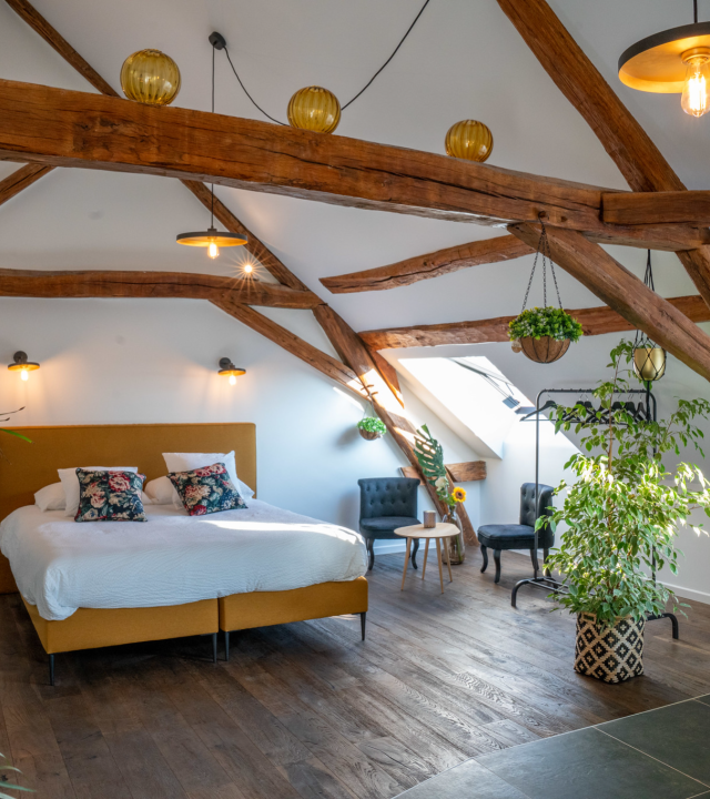 Chambres d'hôtes (B&B's)