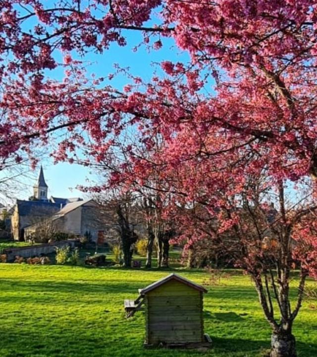 Ambiance Morvan