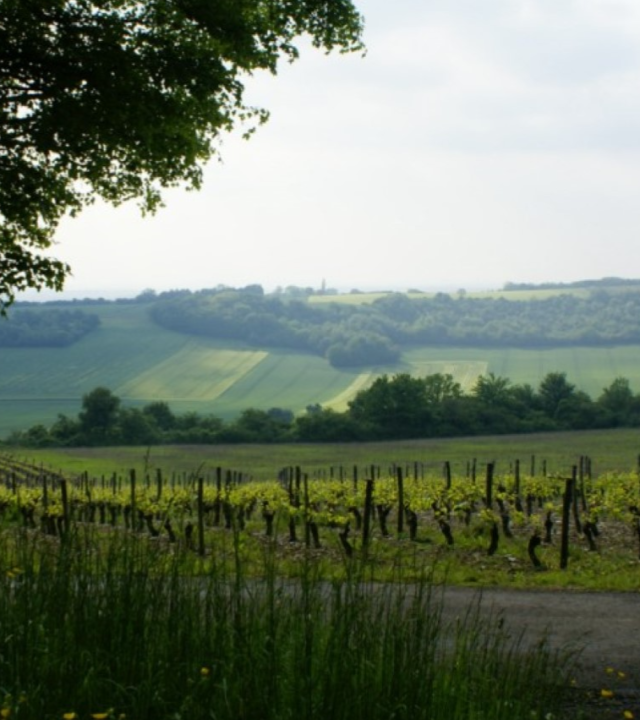 Côtes de la Charité