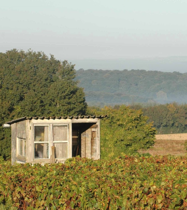 Wijngaarden Les Hauts de Seyr