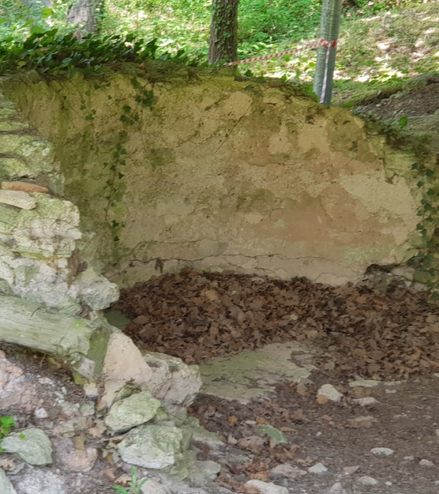 Opgravingen Vertillum en Klooster Molesme