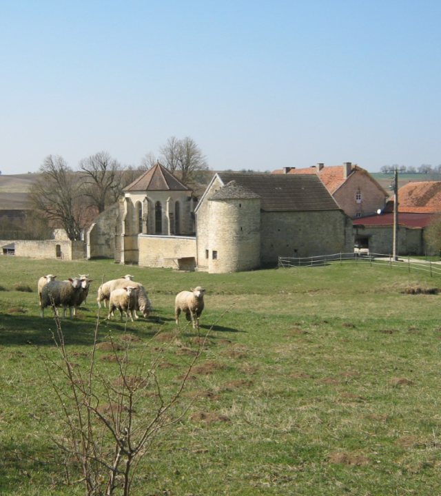 Commanderij tempeliers Epailly