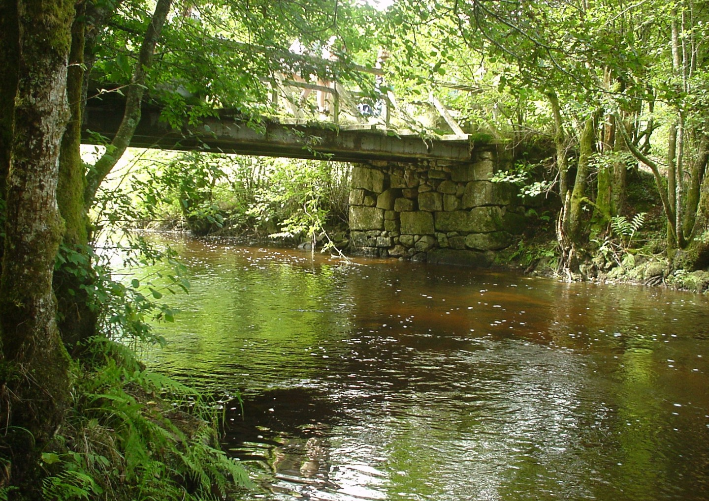 Brug van Saulieu, Dun-les-Places