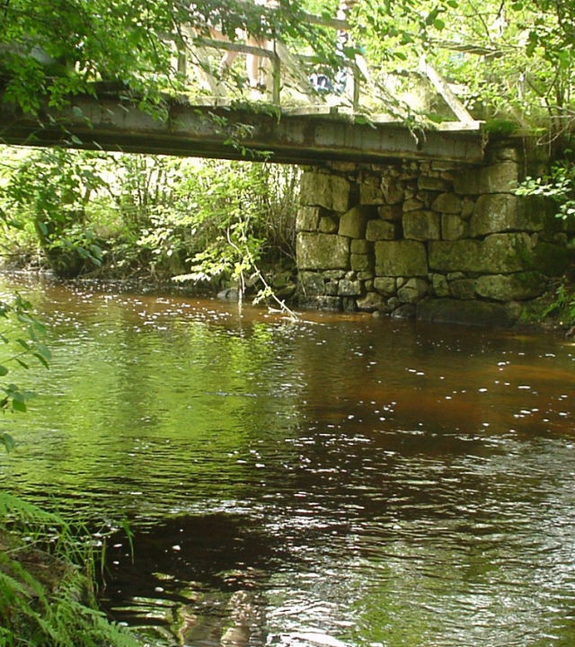 Brug van Saulieu, Dun-les-Places