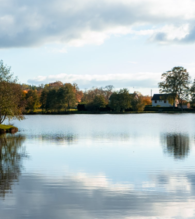 Bos van Marcioux, Lormes