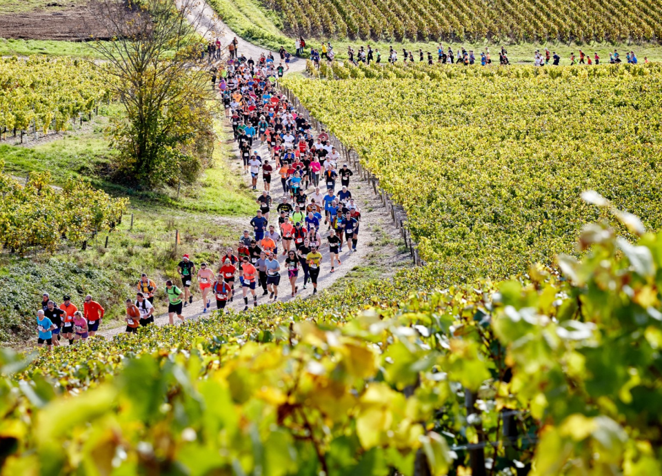 Marathon van Chablis