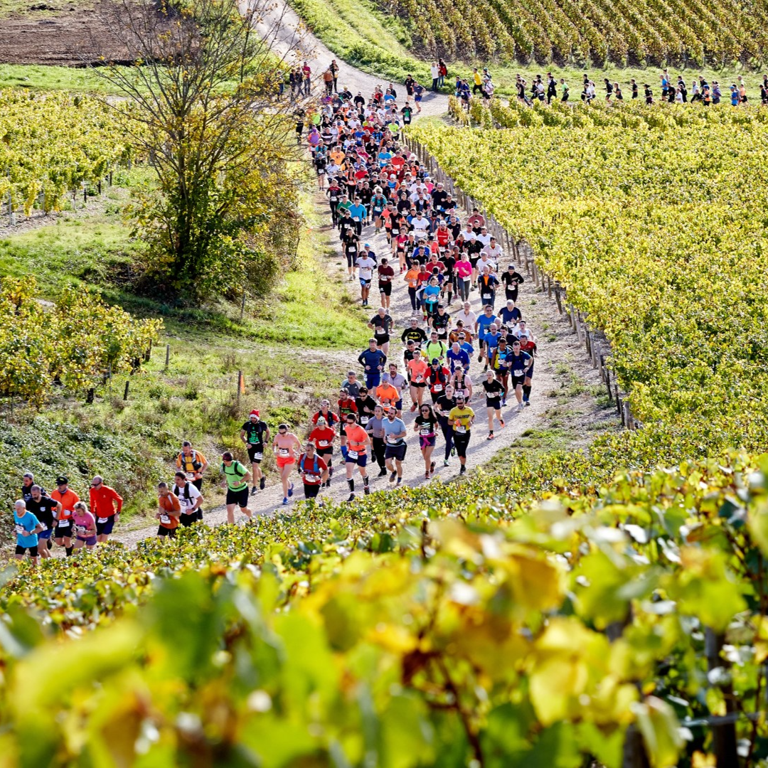 Marathon van Chablis