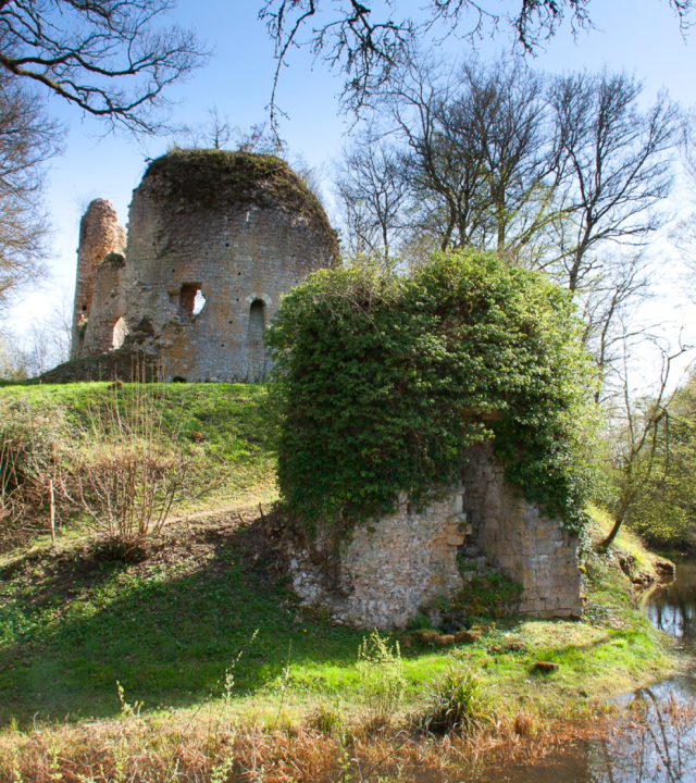 Saint-Vérain en omgeving