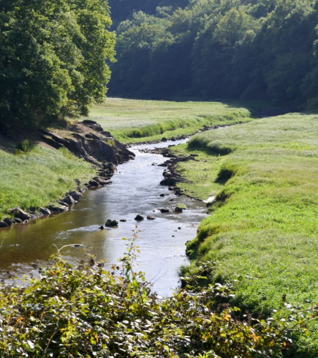 Staart van het Meer van Pannecière