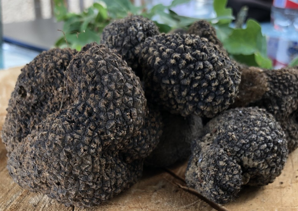Truffelroute