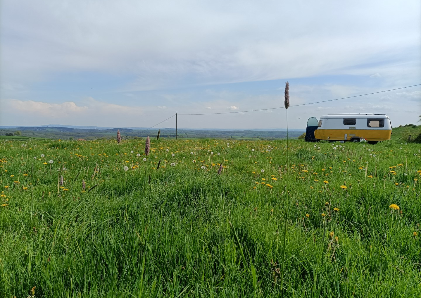 Domaine Les Sauges