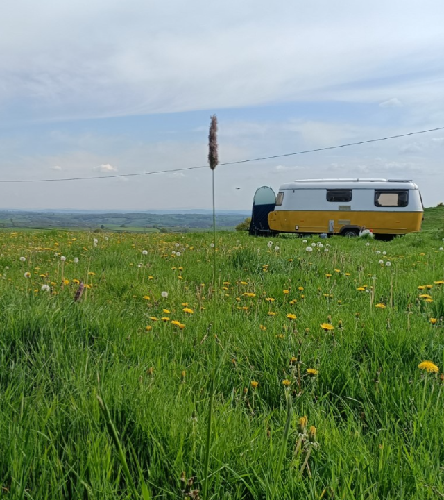 Domaine Les Sauges