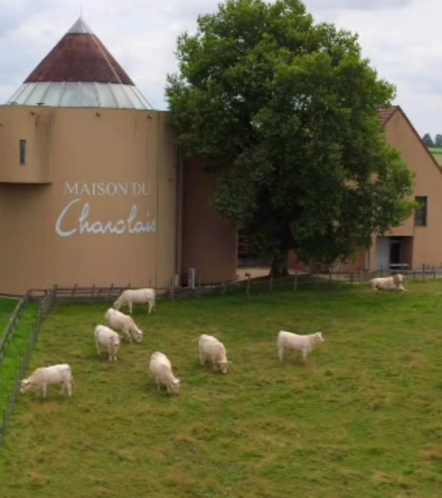 Maison du Charolais