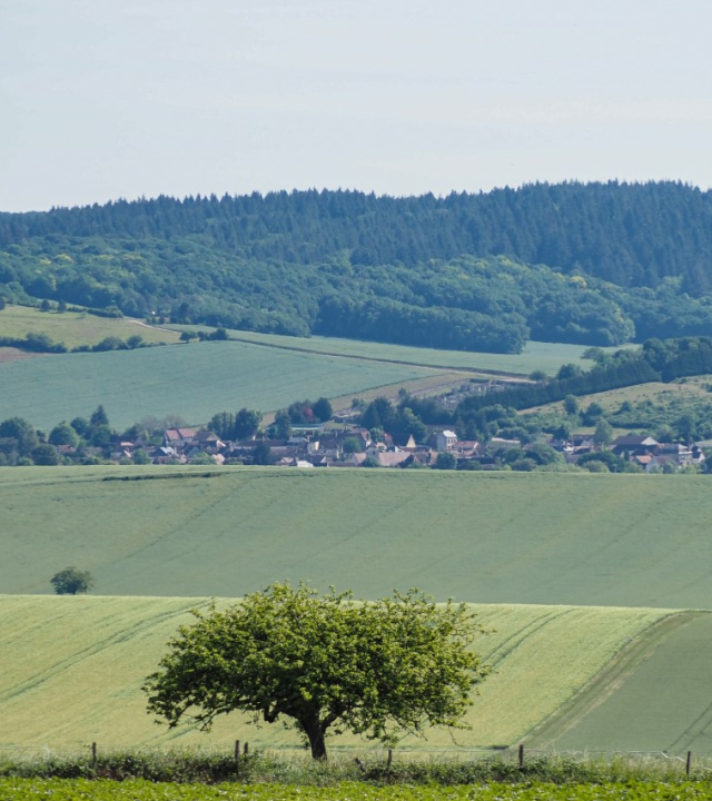 Champlost: Paden van de Wolven