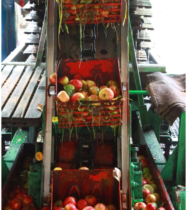 Saint-Florentin naar Avrolles: Pad van de Galliërs