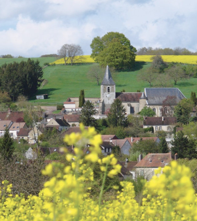 Bos en Hooghout Bellechaume