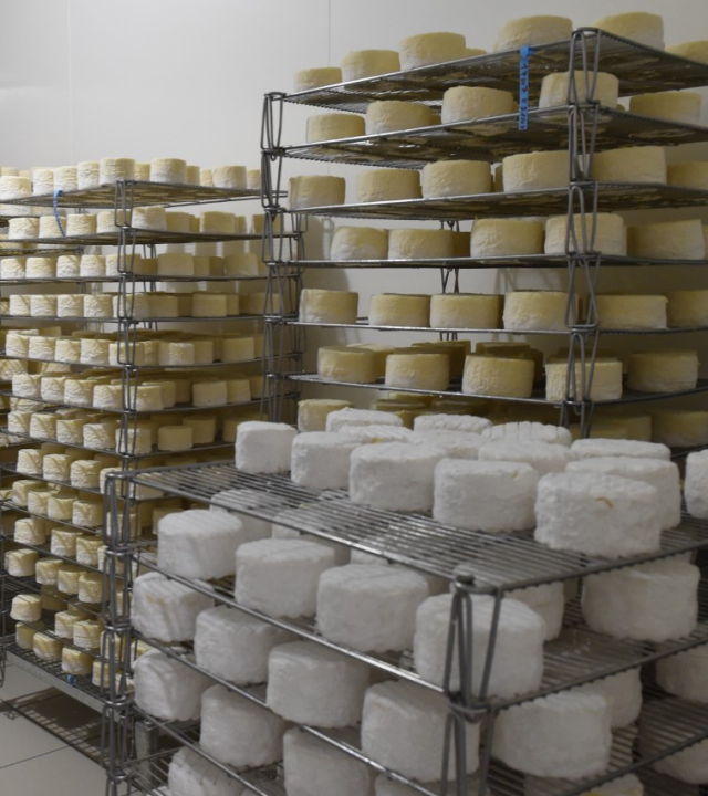 Kaasronde vanuit Beugnon naar Soumaintrain