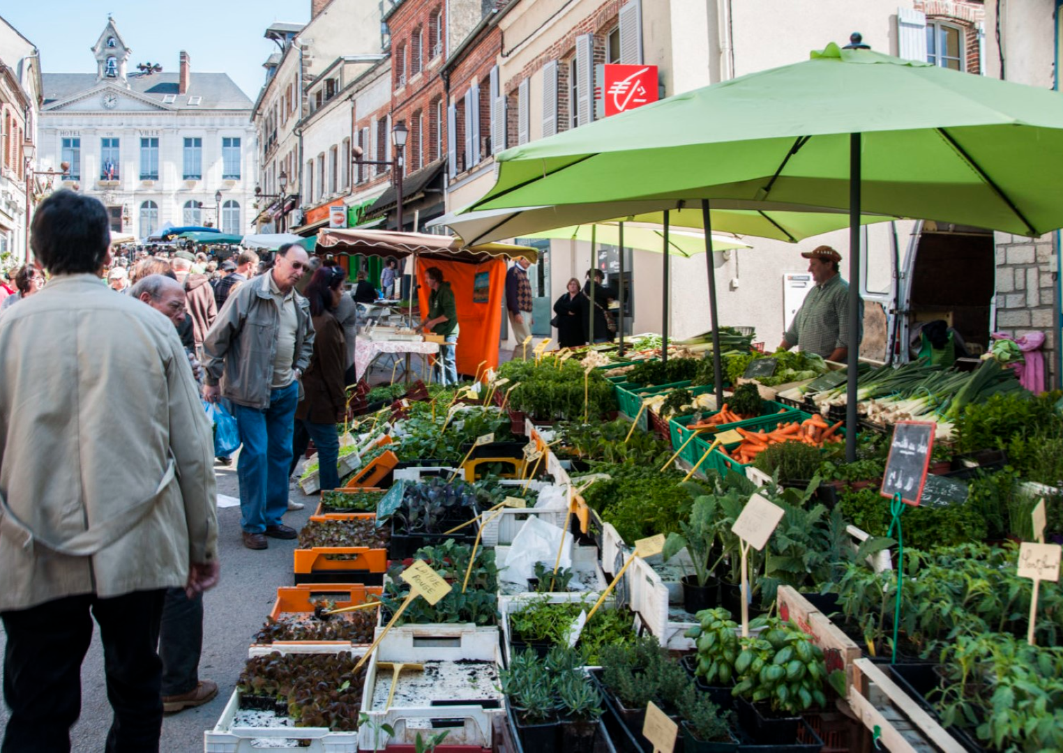 Weekmarkt Toucy