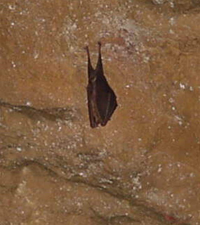 Grotten Blanot