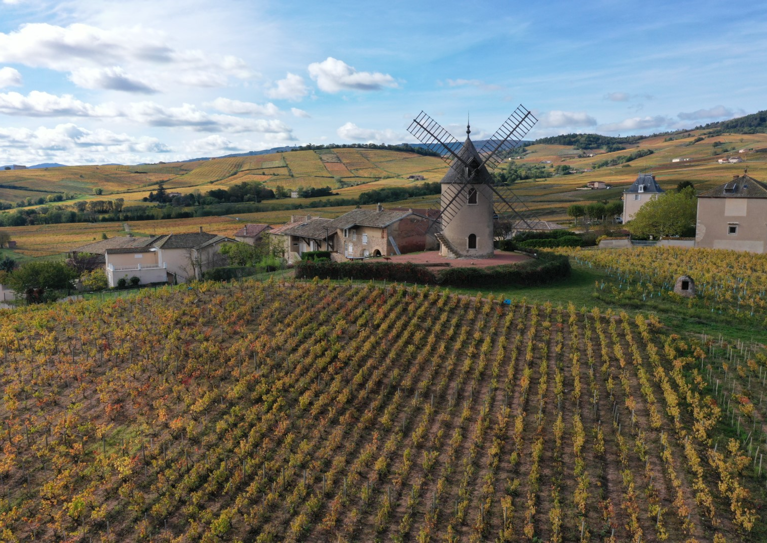 Beaujolais