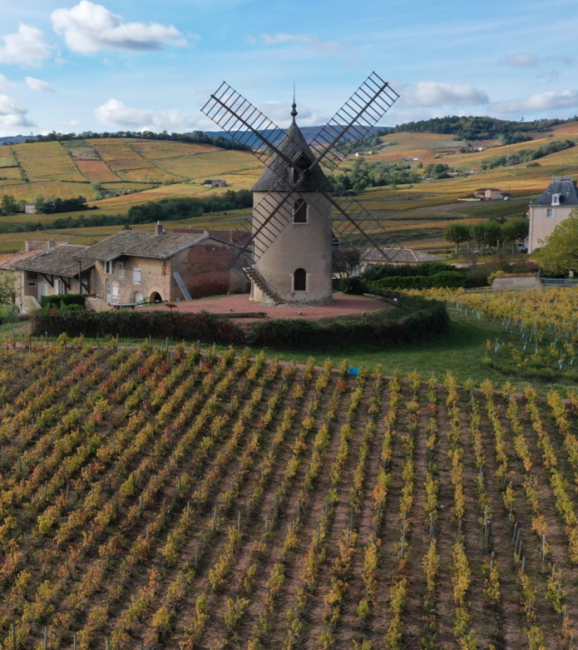 Beaujolais