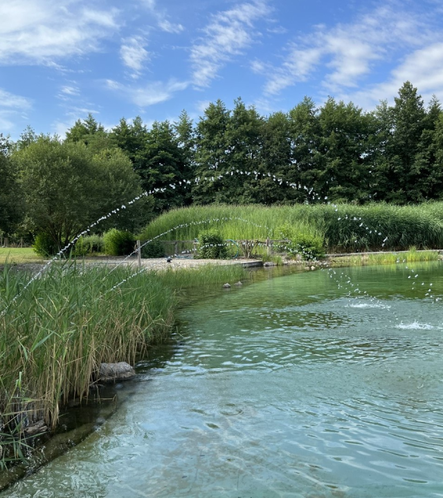 Zwemmen