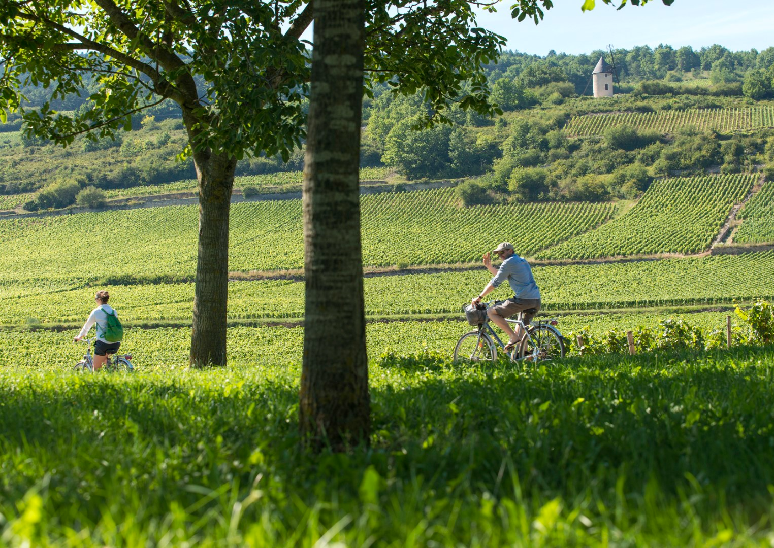 Vanuit de Hoge Morvan naar de Côte de Beaune op de fiets