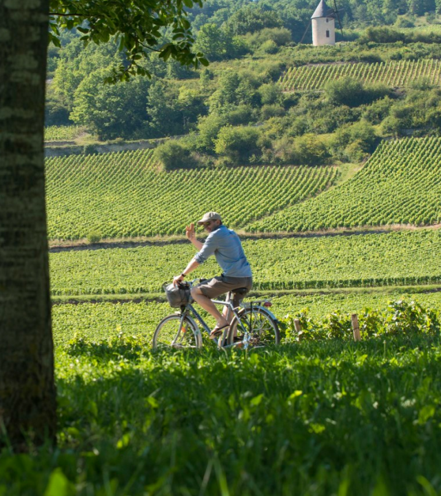 Hoge Morvan - Côte de Beaune op de fiets