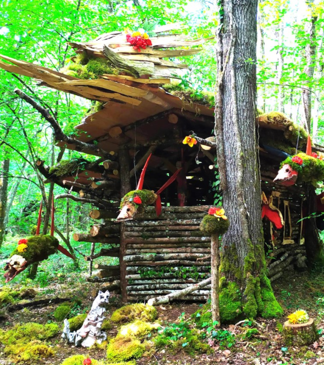 Bos van de groene reuzen