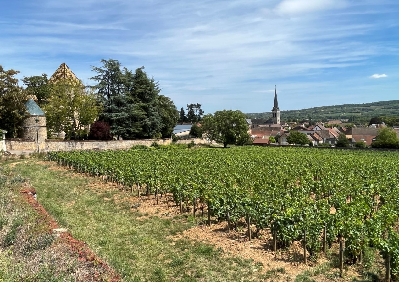 Santenay