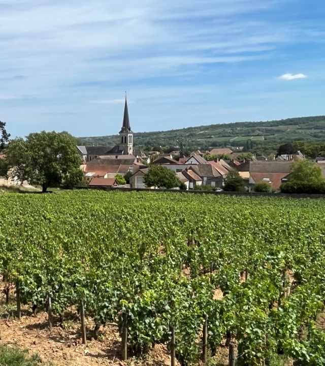 Santenay
