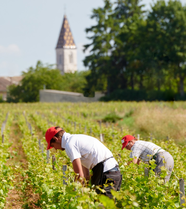 Hospices de Nuits-Saint-Georges